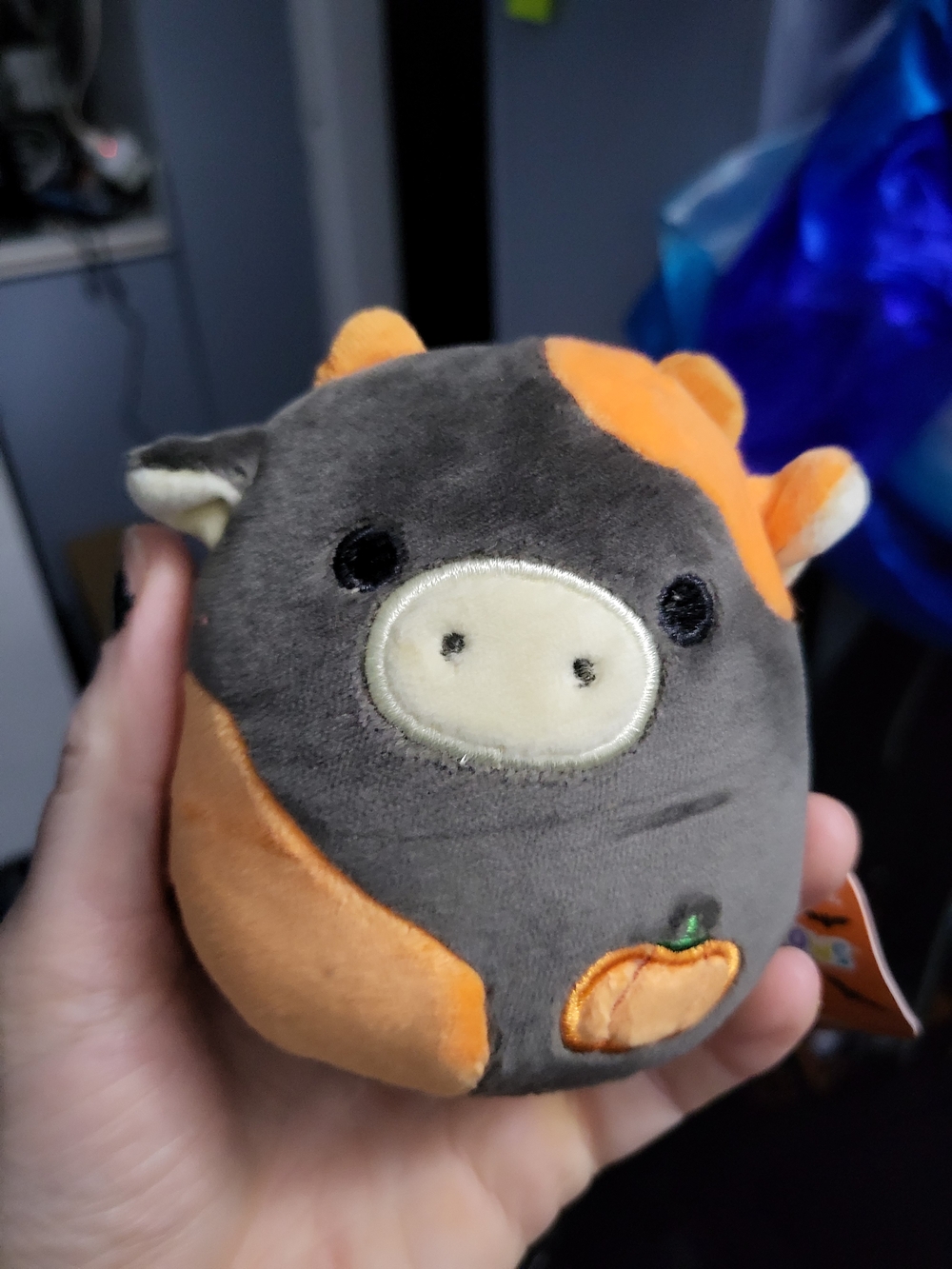 Squishmallows Gray & Orange Pumpkin Cow Jefferson